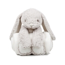 Rabbit and Blanket