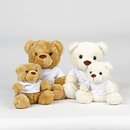 Bear in a T-Shirt