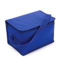 Kühltasche Innsbruck