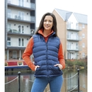 Ladies` Ice Bird Padded Gilet