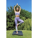 Ladies` Seamless Fade Out Leggings