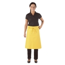 Cook`s Apron