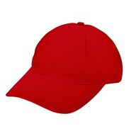 L-merch Brushed Promo Cap