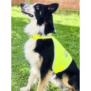 Korntex chaleco elástico de alta visibilidad de seguridad para perros Buenos Aires