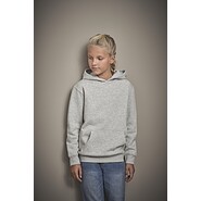 Tee Jays Junior Power Hoodie