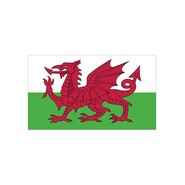 Printwear Fahne Wales (Wales, 90 x 150 cm)