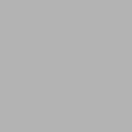SEF Flex film FlexCut cool grey 14, 1 m x 50 cm
