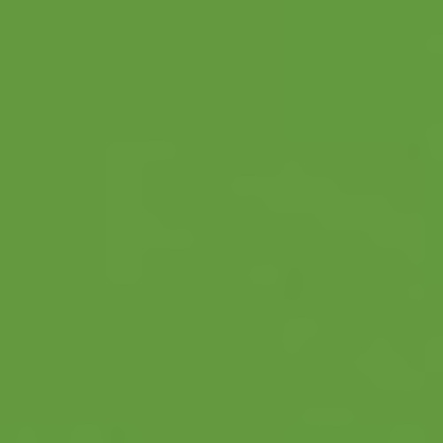Stahls vinile flex Premium Plus Sublistop, verde chiaro, 50cm x 1m