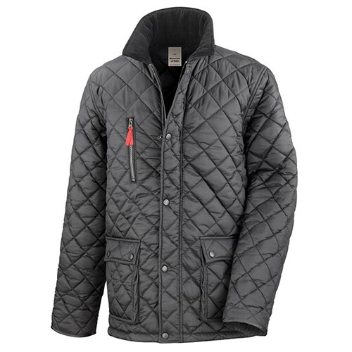 Cheltenham Veste Or