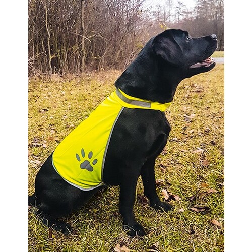 Korntex Stretchy Hi-Vis Safety Vest For Dogs Buenos Aires (Signal Yellow, M)