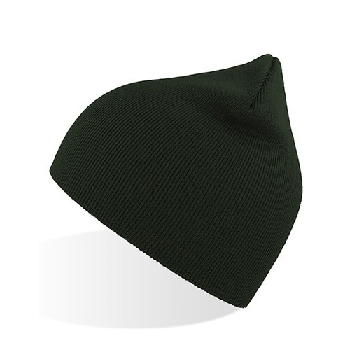 Atlantis Headwear Recy Beanie (Bottle Green, One Size)