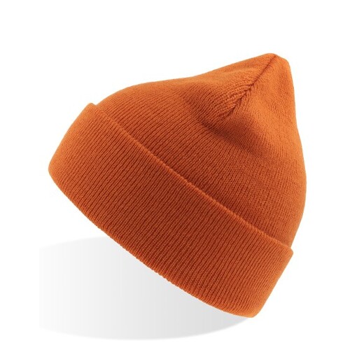 Atlantis Headwear Eko Beanie (Orange, One Size)