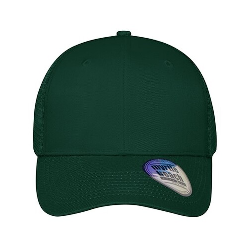 6 panel mesh cap