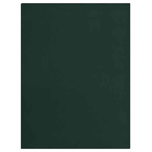 James&Nicholson Fleece Blanket XXL (Dark Green, One Size)