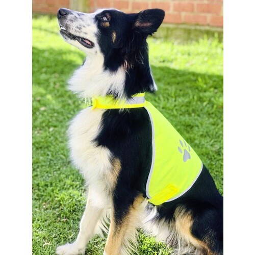 Korntex Stretchy Hi-Vis Safety Vest For Dogs Buenos Aires (Signal Yellow, L)