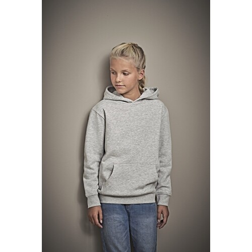 Tee Jays Junior Power Hoodie (Dark Grey (Solid), 8/10)