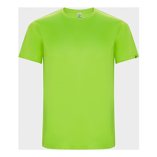 Roly Eco Men's Imola T-Shirt (Fluor Green 222, S)