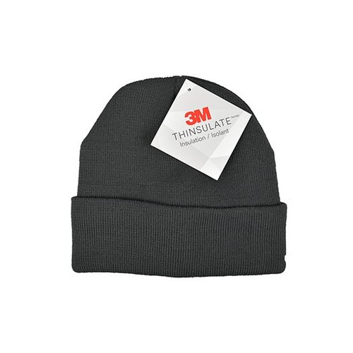 Bonnet L-merch Thinsulate (Dark Grey, One Size)