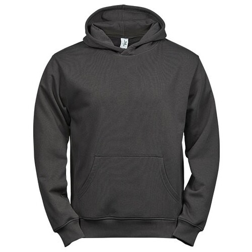 Tee Jays Junior Power Hoodie (Dark Grey (Solid), 8/10)