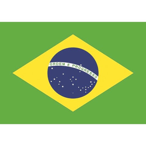 Printwear Fahne Brasilien (Brazil, 90 x 150 cm)