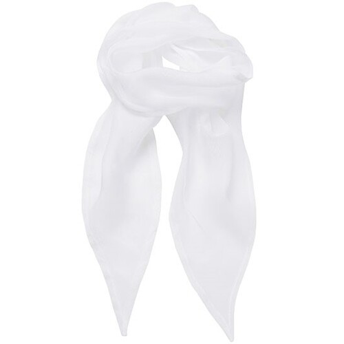 Women`s Colors Collection Chiffon Scarf